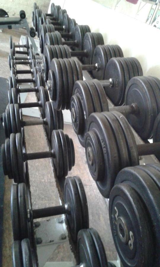 Ferienwohnung Mit Fitness Leipzig Ngoại thất bức ảnh